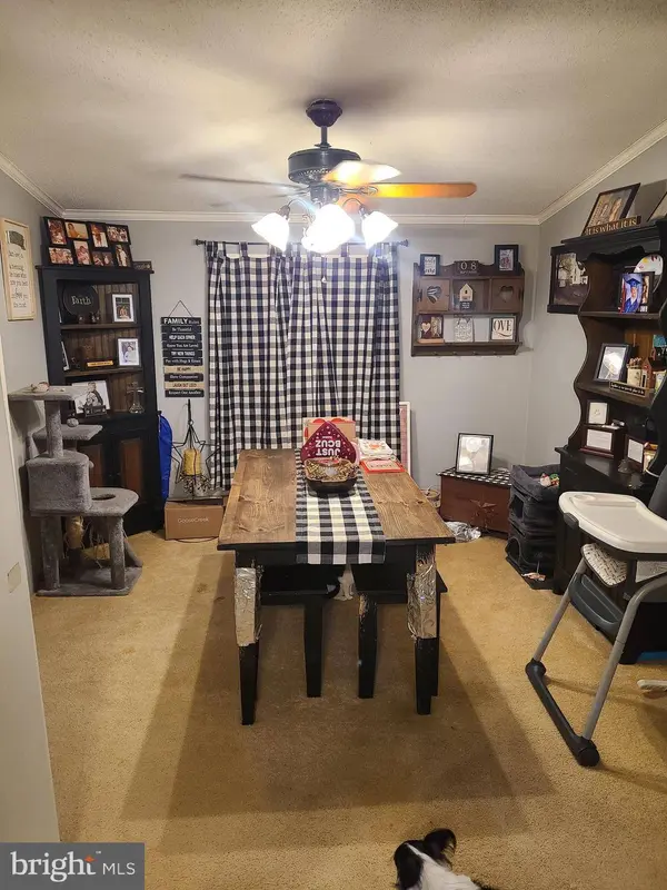 33206 CRABAPPLE LN, New Church, VA 23415