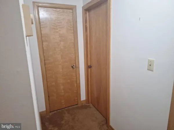 440 BOBCAT RD, Davis, WV 26260