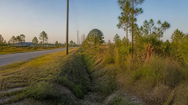 The Tax Deed Auction Catch: What Florida Land Buyers Need to Know Before They Bid