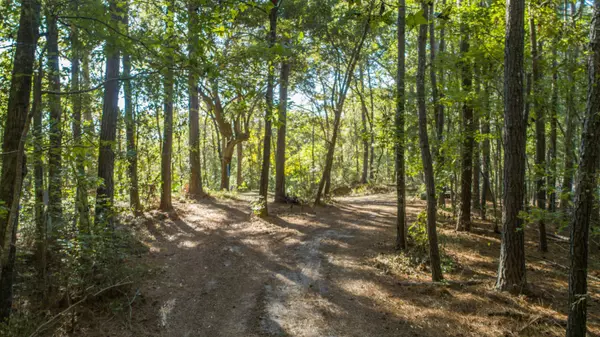 00 Givhans Ferry Rd, Ridgeville, SC 29472