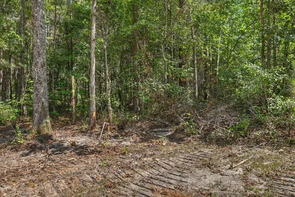 V/L Edmarie Ln, Holly Hill, SC 29059