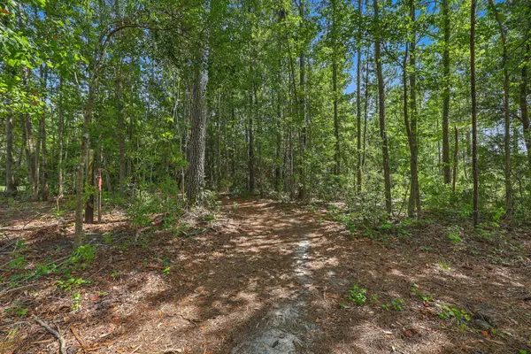 V/L Edmarie Ln, Holly Hill, SC 29059