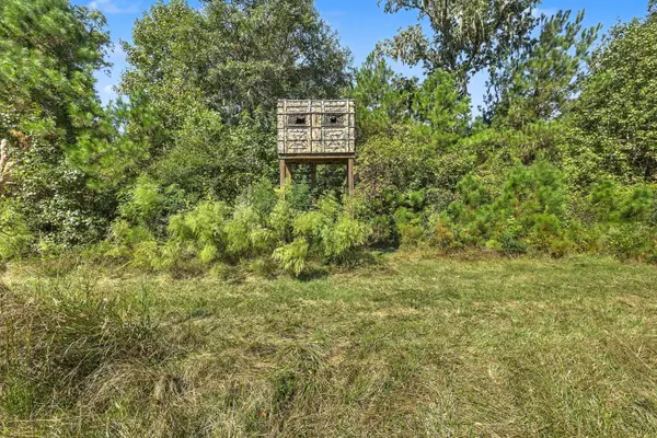 9750 Cottageville Hwy, Cottageville, SC 29435