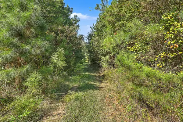 9750 Cottageville Hwy, Cottageville, SC 29435