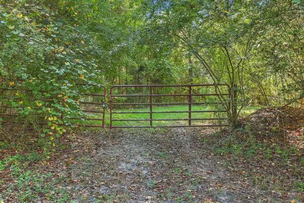 9750 Cottageville Hwy, Cottageville, SC 29435