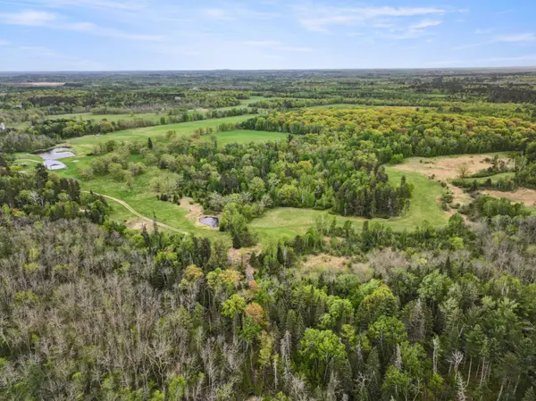  A Record Breaking Sale