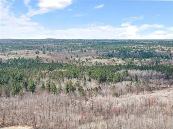 6167 24th ST SW, Bungo Twp, MN 56474