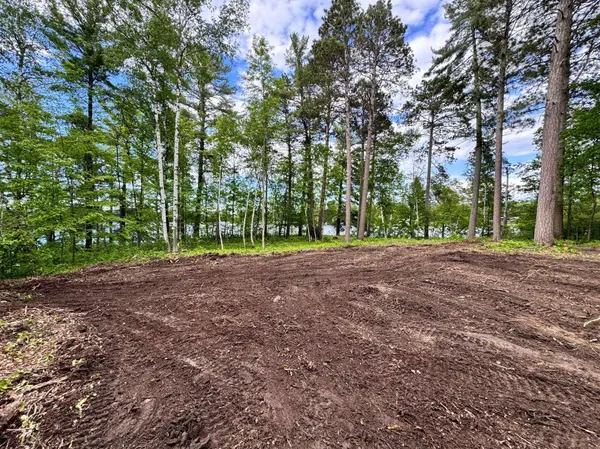 1218 Blue Heron DR, Pine River, MN 56474