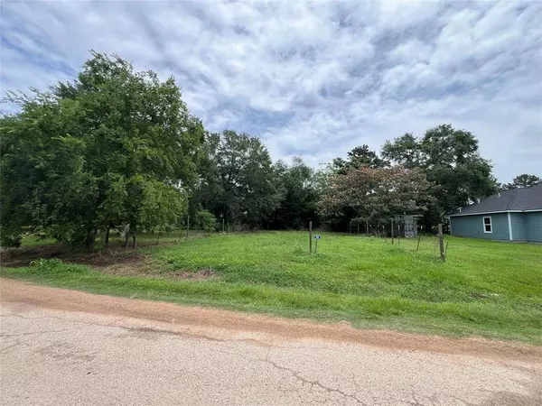 106 Marie Antoinette, Hempstead, TX 77445