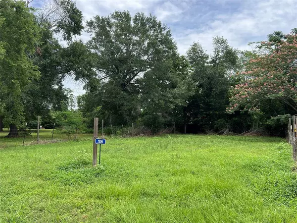 106 Marie Antoinette, Hempstead, TX 77445