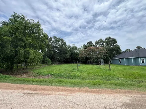 106 Marie Antoinette, Hempstead, TX 77445