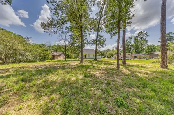 315 Autumn Oak ST, New Caney, TX 77357