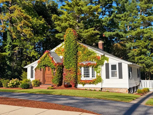 55 Elm Street