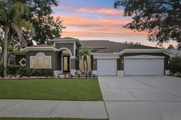15720 BEREA DR, Odessa, FL 33556