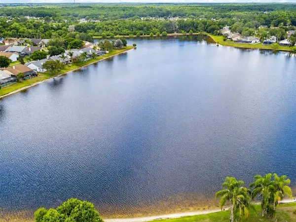 11848 BRANCH MOORING DR, Tampa, FL 33635