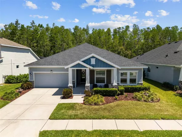 15329 RENAISSANCE AVE, Odessa, FL 33556