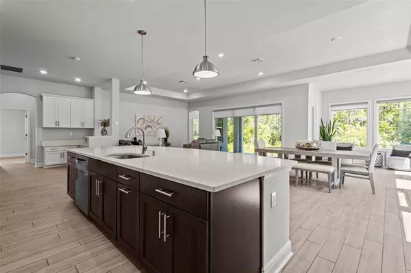 15329 RENAISSANCE AVE, Odessa, FL 33556