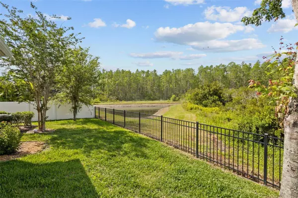 15170 AVILES Pkwy, Odessa, FL 33556