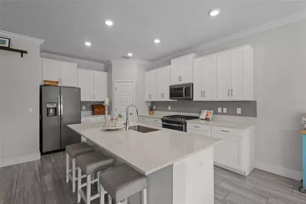 4077 CADENCE LOOP, Land O Lakes, FL 34638