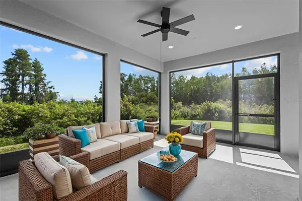18722 SAILORS DELIGHT PASS, Land O Lakes, FL 34638
