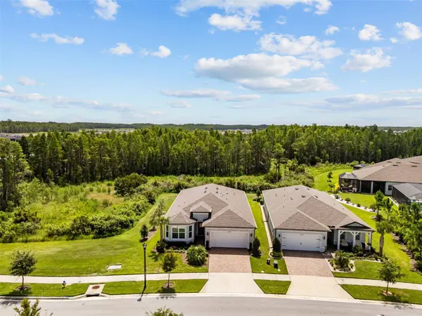 18722 SAILORS DELIGHT PASS, Land O Lakes, FL 34638