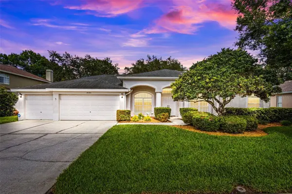 18545 BITTERN AVE, Lutz, FL 33558