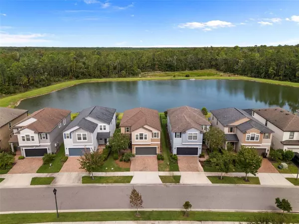 17349 CRUISER BND, Land O Lakes, FL 34638