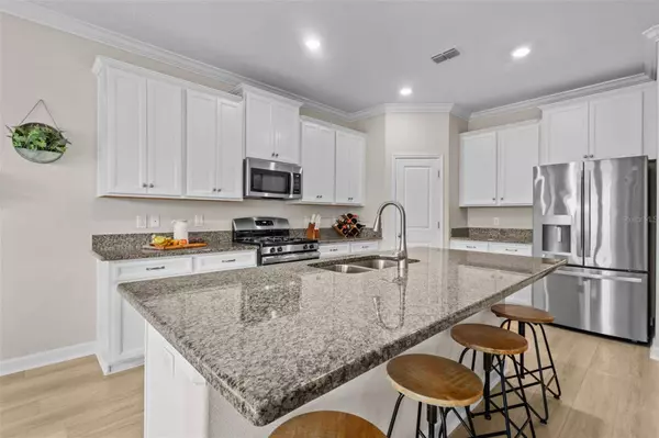 17349 CRUISER BND, Land O Lakes, FL 34638