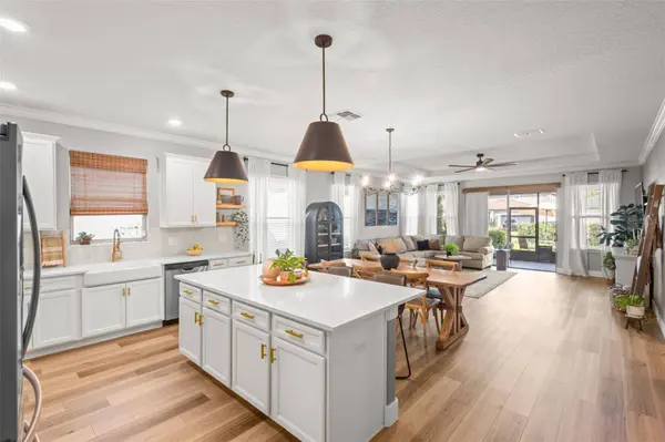 4465 TUBULAR RUN, Land O Lakes, FL 34638