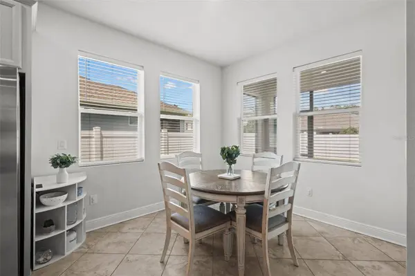 15133 CARAVAN AVE, Odessa, FL 33556