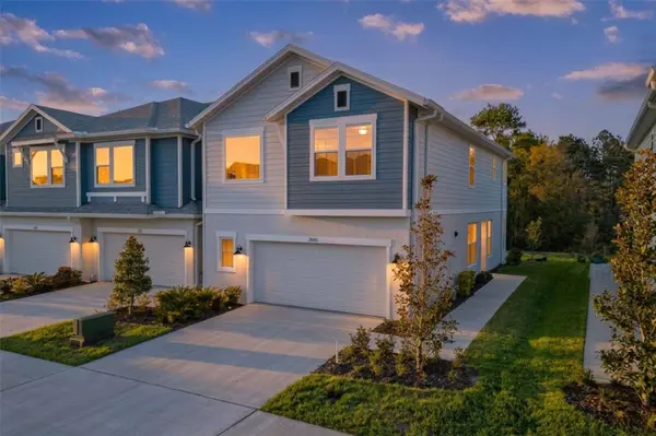 17240 BALANCE CV, Land O Lakes, FL 34638