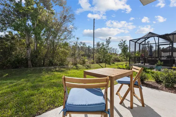 17240 BALANCE CV, Land O Lakes, FL 34638