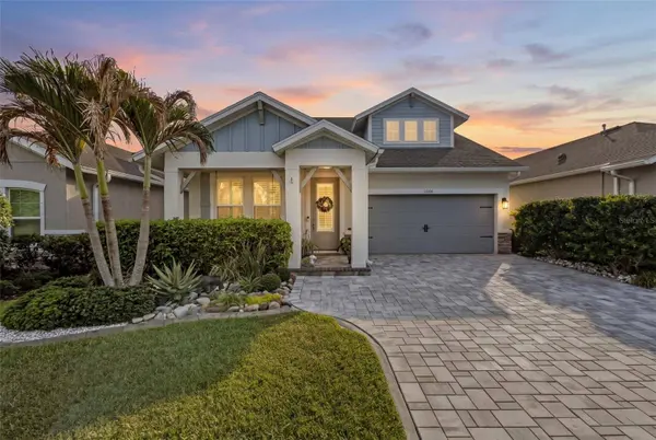 15166 RENAISSANCE AVE, Odessa, FL 33556