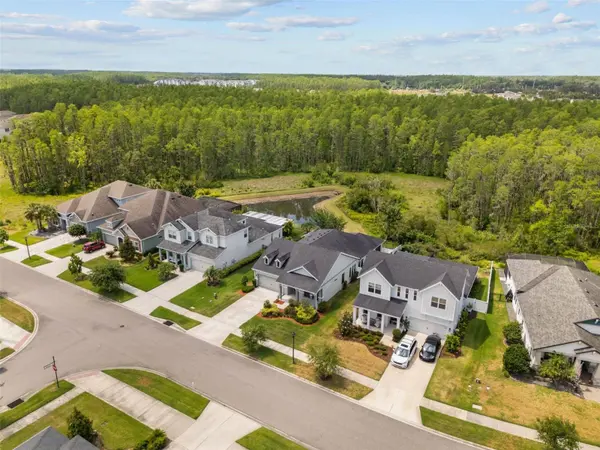 15170 AVILES Pkwy, Odessa, FL 33556
