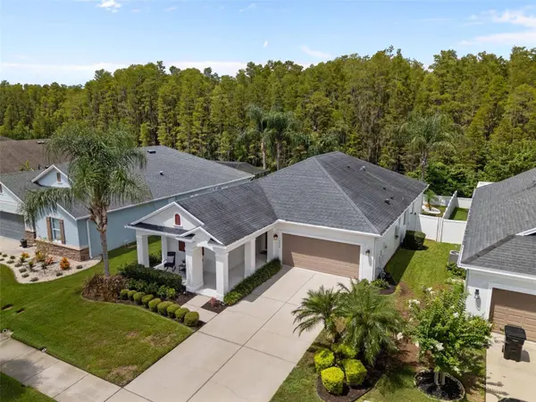 14426 TRAILS EDGE BLVD, Odessa, FL 33556