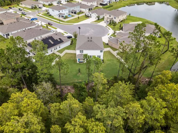 6847 DAINTREE CT, Land O Lakes, FL 34638