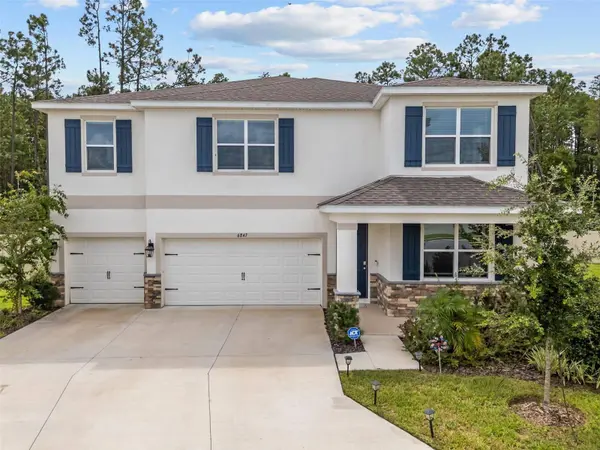 6847 DAINTREE CT, Land O Lakes, FL 34638