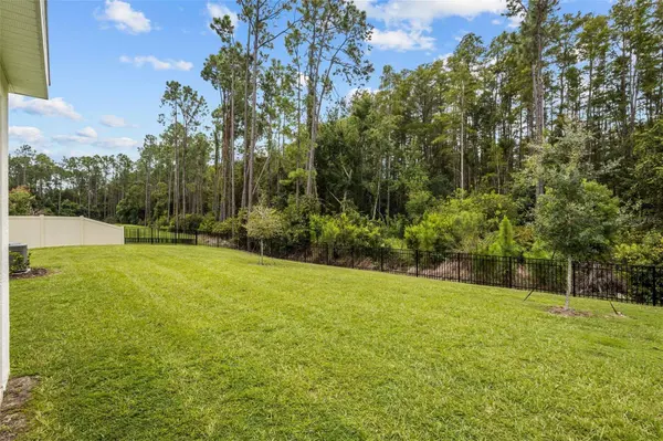 6847 DAINTREE CT, Land O Lakes, FL 34638
