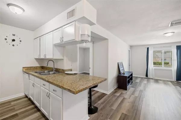 209 BERRY TREE PL, Brandon, FL 33510