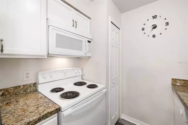 209 BERRY TREE PL, Brandon, FL 33510