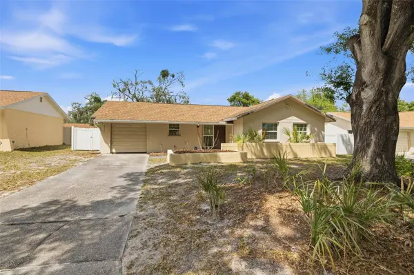 8522 CALADESI ISLAND DR, Temple Terrace, FL 33637