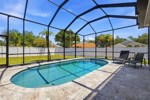 12020 RUNNING FOX CIR, Riverview, FL 33569