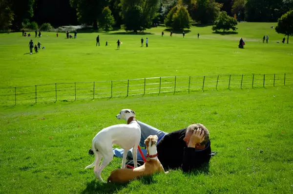 Where Are the Best Dog Parks in Central PA?,Michael Segarra