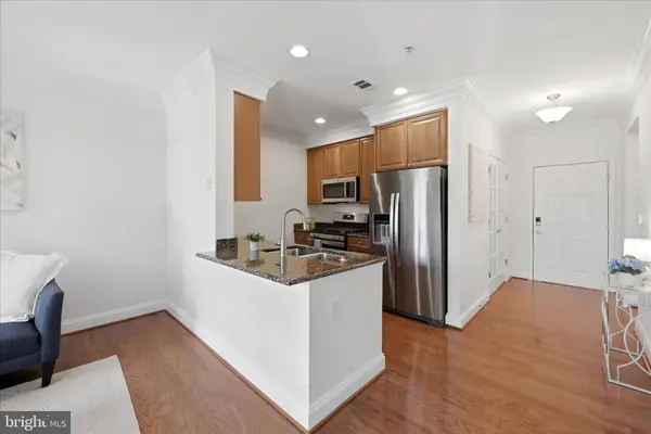 1115 CAMERON ST #213, Alexandria, VA 22314