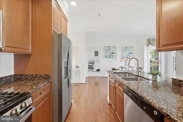 1115 CAMERON ST #213, Alexandria, VA 22314