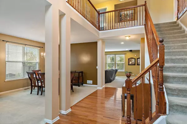 335 Buffalo DR, Elgin, IL 60124