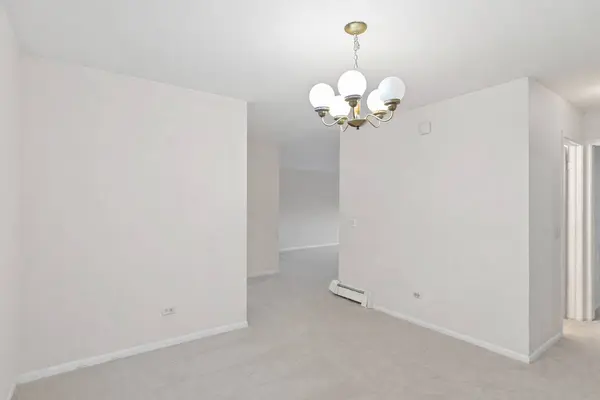 2431 Ogden AVE #10, Downers Grove, IL 60515