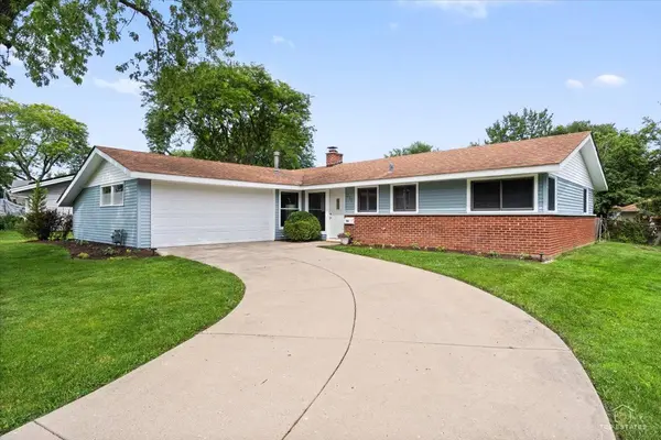 231 Webster LN