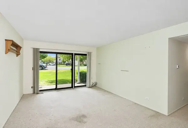 234 Deerpath CT #D1, Schaumburg, IL 60193
