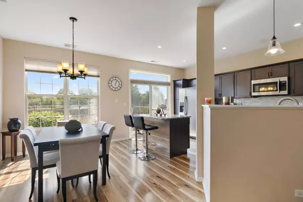 24037 W Pear Tree CIR, Plainfield, IL 60585